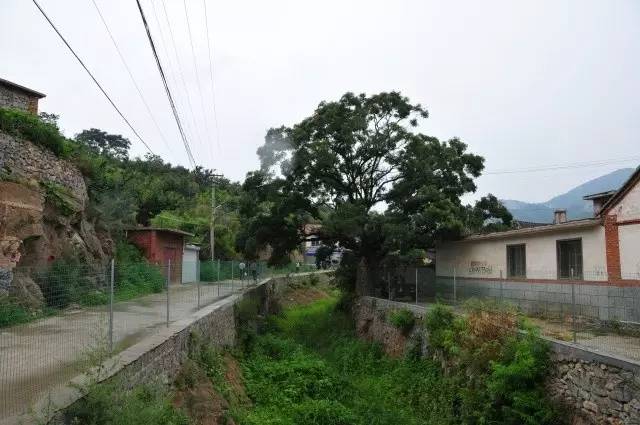 20160725040741699.jpg 20160725040741699.jpg